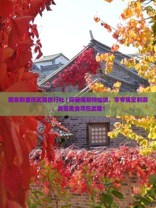 阳泉到重庆武隆旅行社