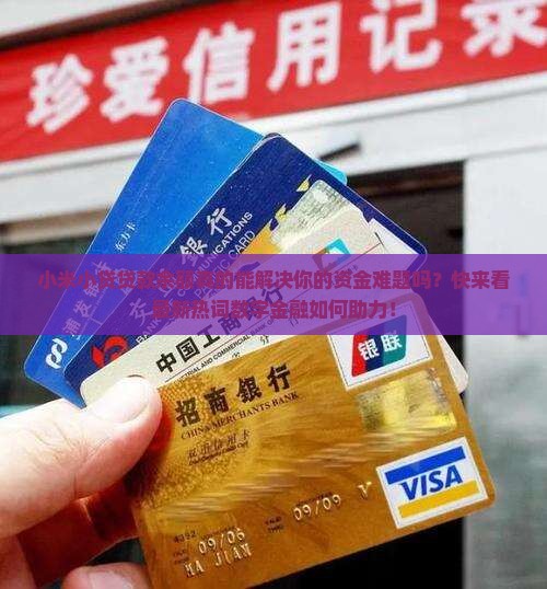 小米小贷贷款余额