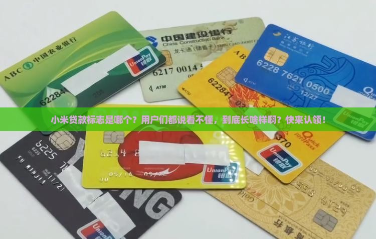 小米贷款标志是哪个