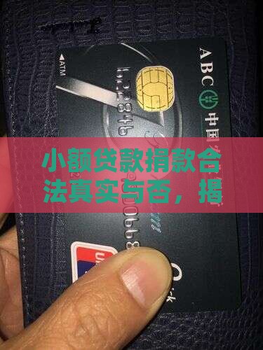 小额贷款捐款