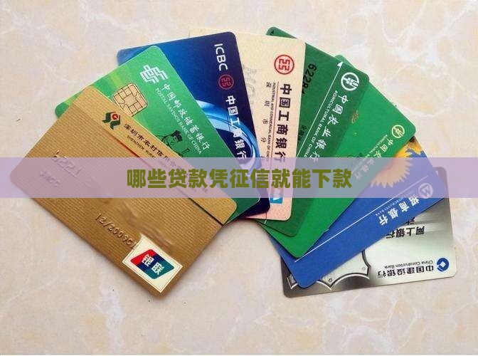 哪些贷款凭征信可以下款