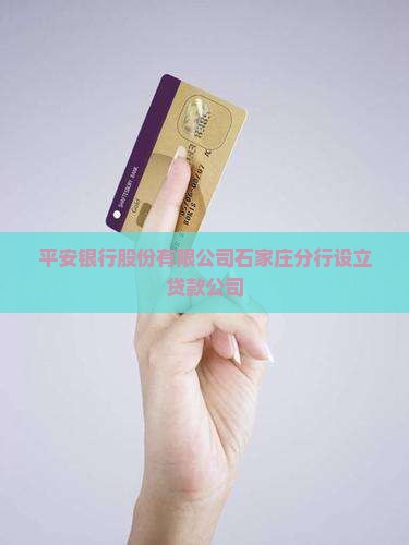 平安银行石家庄分行贷款
