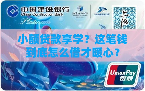 小额贷款里享学