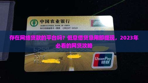 存在网络贷款的平台吗