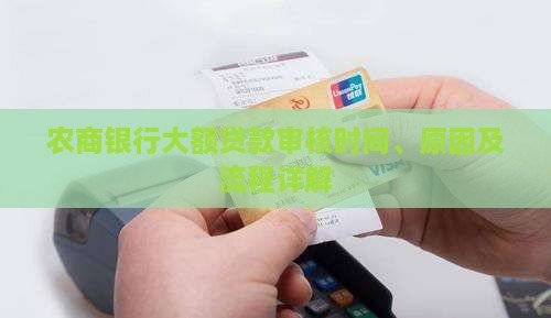 农商银行大额贷款审核