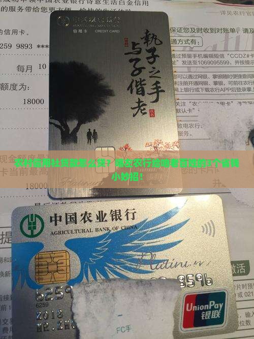 喀左农行的信用贷款