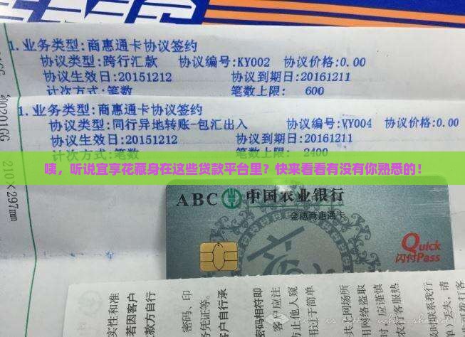 哪些贷款平台里有宜享花 哪些贷款平台里有宜享花