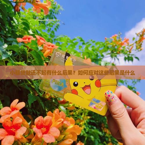 小额贷款还不起会如何 小额贷款还不起会如何