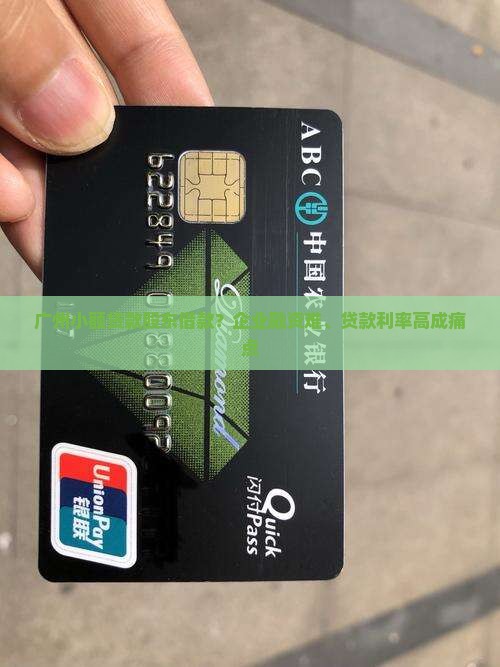 广州小额贷款股东借款