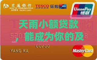 天雨小额贷款