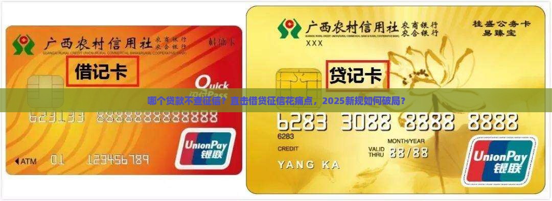 哪个贷款不查征信
