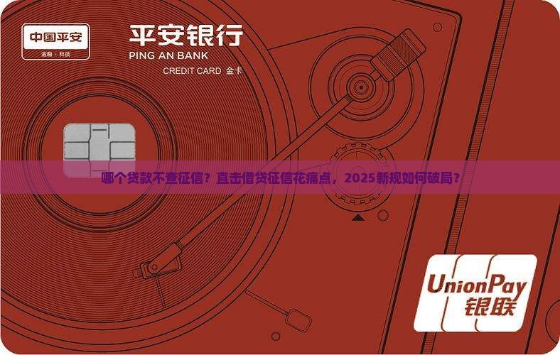 哪个贷款不查征信