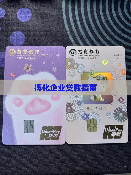 孵化一家公司贷款