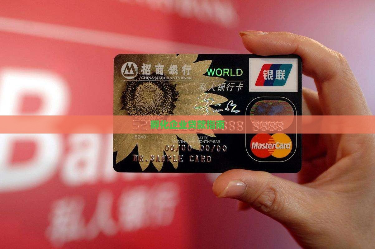 孵化一家公司贷款
