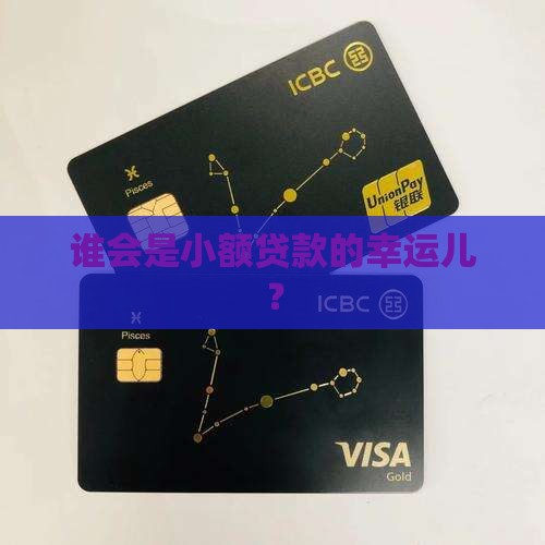 小额贷款适用人群