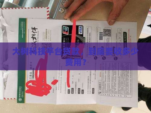 大树科技平台贷款平台费