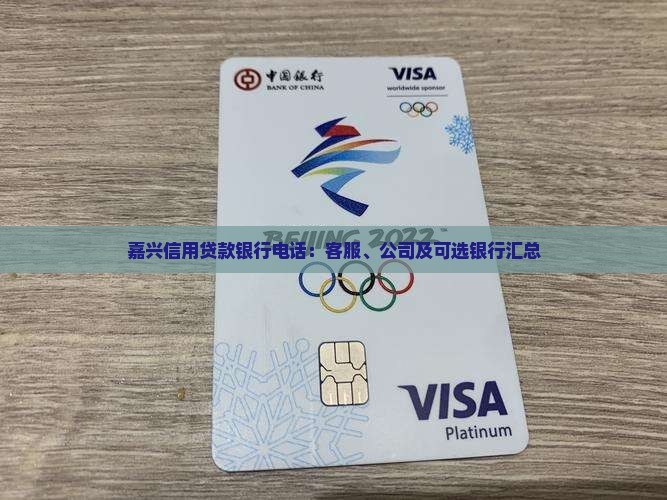 嘉兴信用贷款银行电话