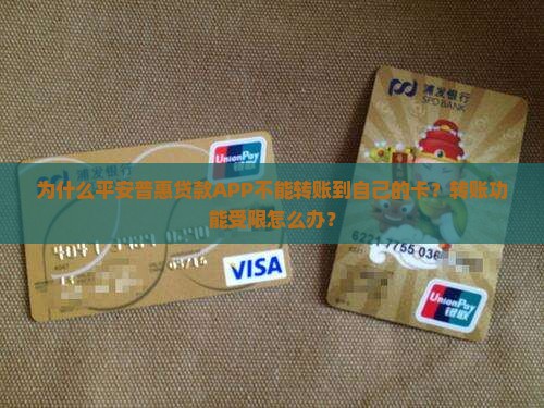 平安普惠贷款app不能转自己卡