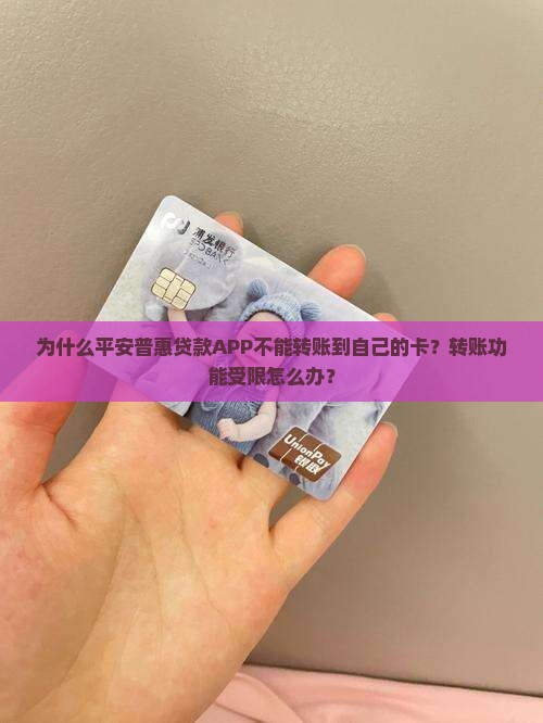 平安普惠贷款app不能转自己卡