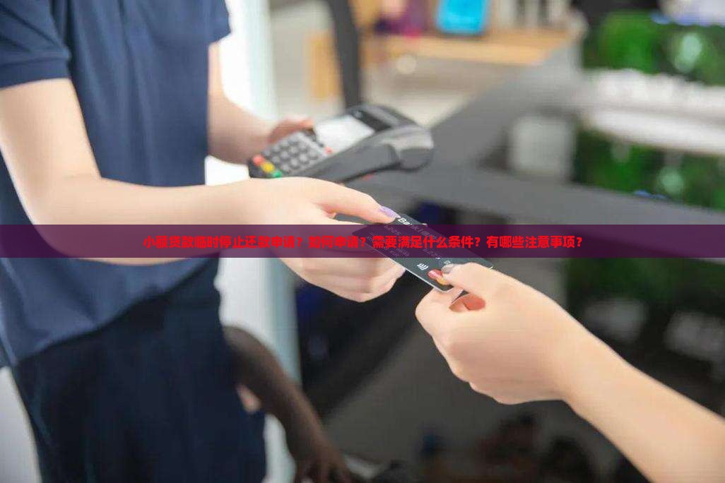小额贷款临时停止还款申请