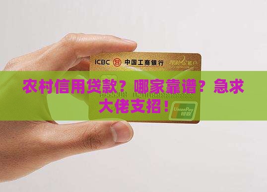 农村信用贷款去哪贷