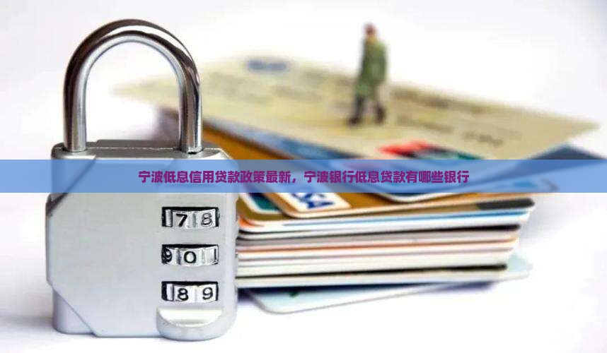 宁波低息信用贷款政策最新