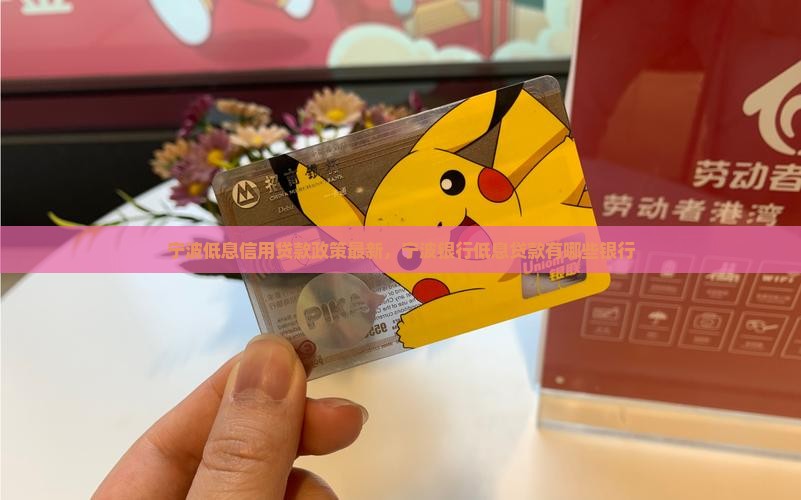 宁波低息信用贷款政策最新