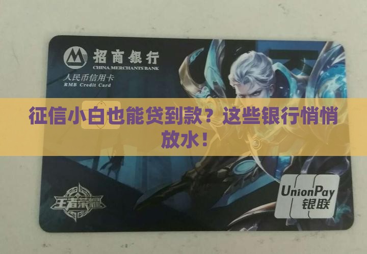 哪些银行不查征信的贷款
