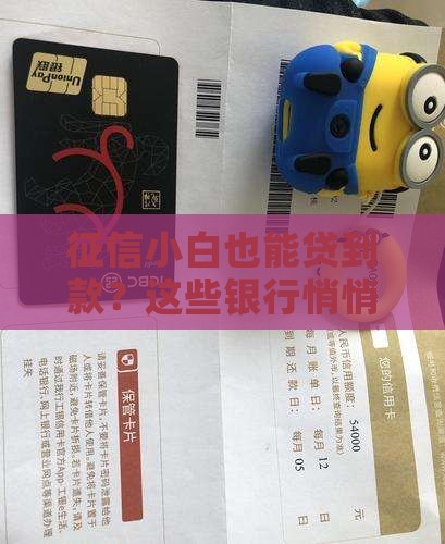 哪些银行不查征信的贷款
