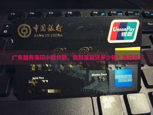 广东越秀海印小额贷款