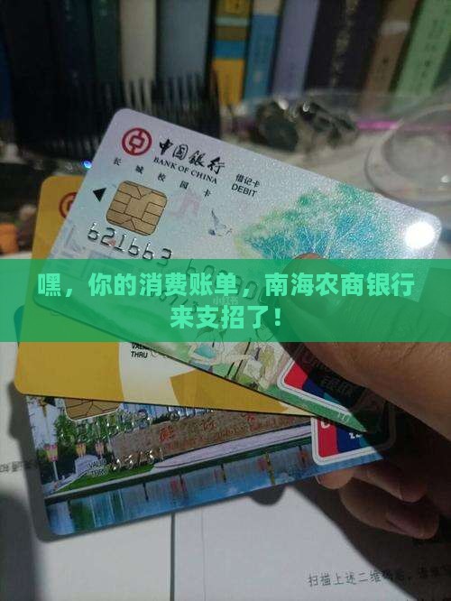 南海农商银行消费以贷款