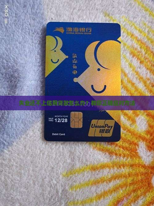 失业还不上信用贷款