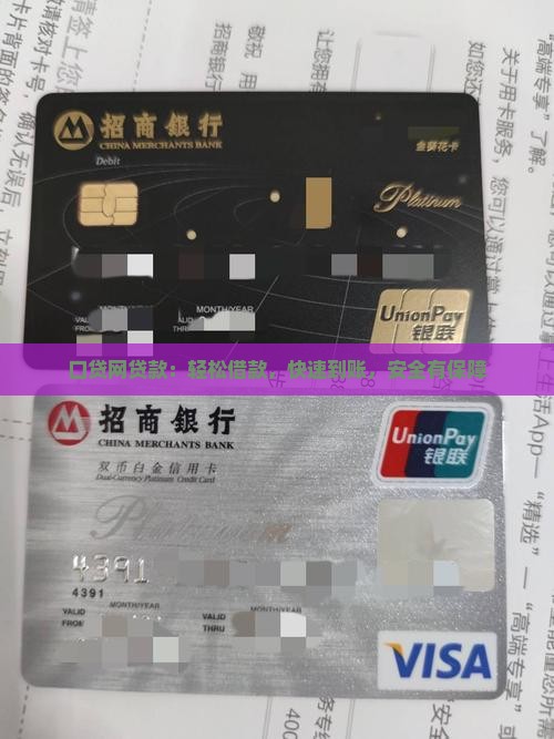 口贷网贷款