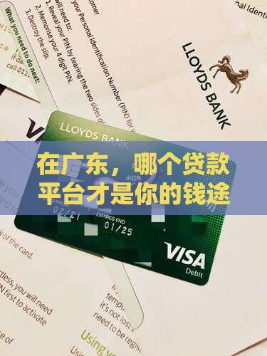 广东哪个贷款平台好