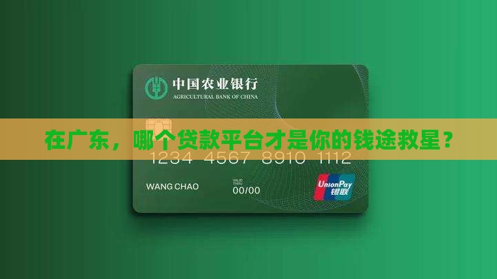 广东哪个贷款平台好