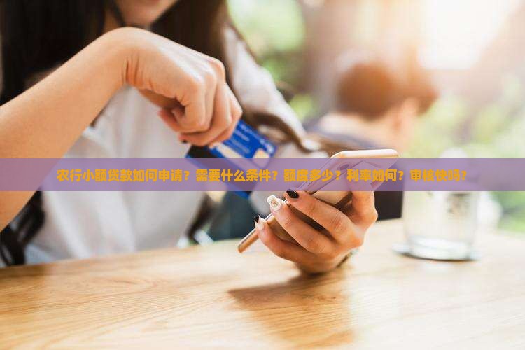 农行小额贷款都怎么贷款