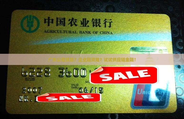 广东公司贷款