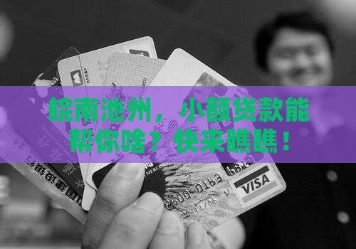 安徽省池州市小额贷款 安徽省池州市小额贷款