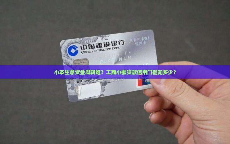 工商小额贷款信用条件