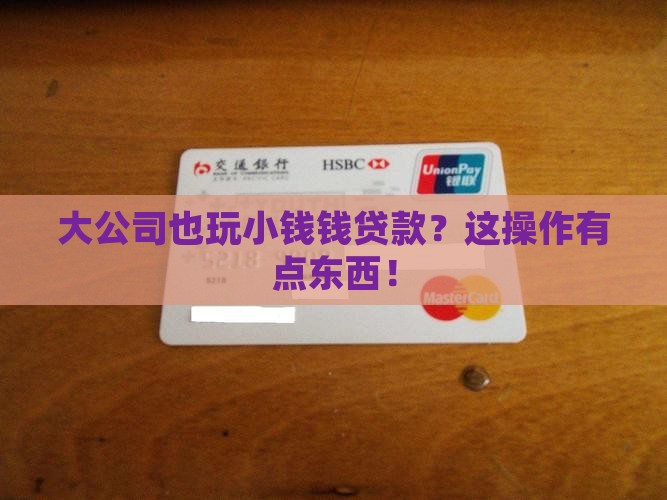 大公司的小额贷款