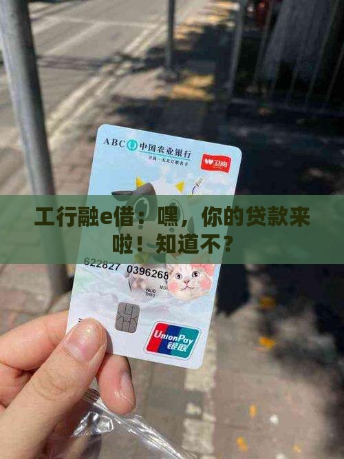 工行融e借说有贷款