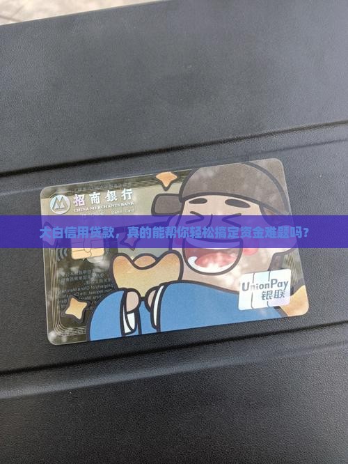 大白信用贷款