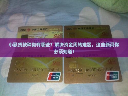 小额贷款种类