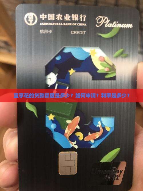 宜享花的贷款额度是多少