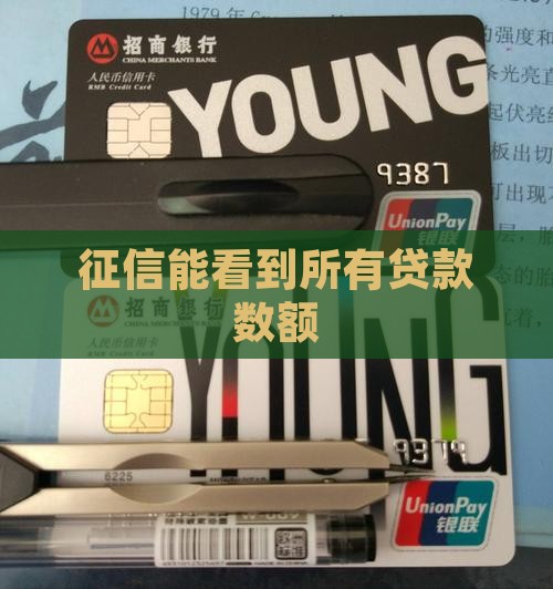 征信能查贷款数额吗 征信能查贷款数额吗