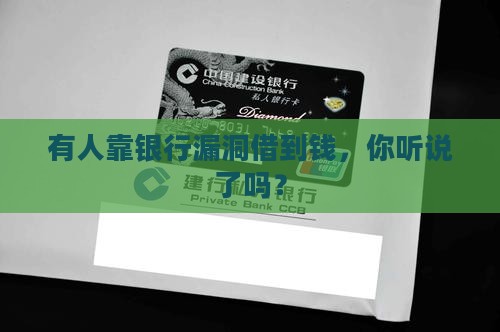 利用银行系统漏洞贷款