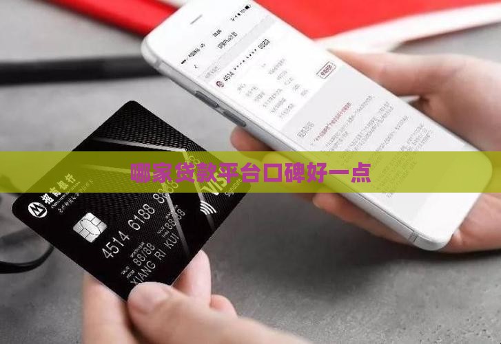 哪家贷款平台口碑好一点