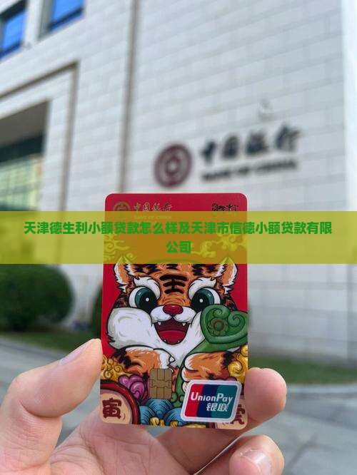 天津德生利小额贷款