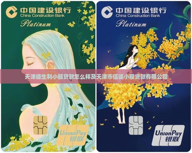 天津德生利小额贷款