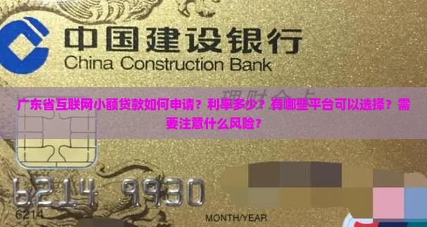 广东省互联网小额贷款